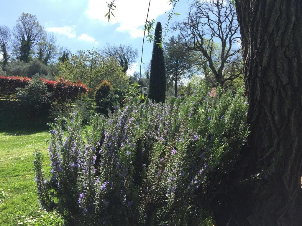 Affittacamere Relais San Bruno Montepulciano Stazione Esterno foto